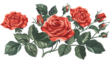 Roses red flowers floral isolated illustration isola