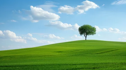 Fotobehang Lone Tree on Vibrant Green Hill Under Blue Sky © marishatti