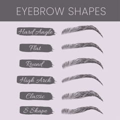 Eyebrow Shapes Types Illustration