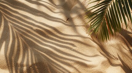 Plakat Sea shore sand beach with palm tree banner. Background concept