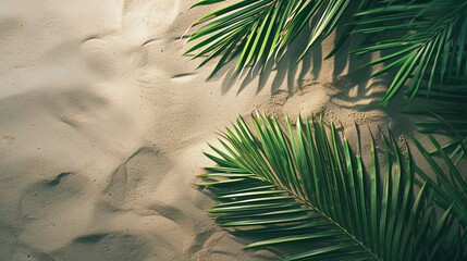 Sea shore sand beach with palm tree banner. Background concept