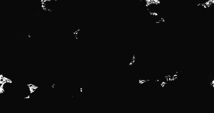 Black paint splash stains white isolated background backdrop