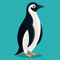 Penguin Vector Illustration, Beautiful Penguin