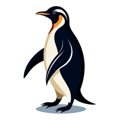 Penguin Vector Illustration, Beautiful Penguin