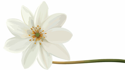 White flower on stem cartoon isolated illustrations