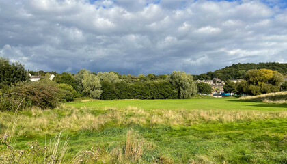 Fototapeta premium Rural landscape, with wild grasses, old trees, and houses in the distance near, Shipley, Yorkshire, UK