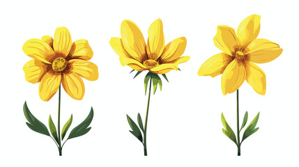 Yellow flower on stem floral set cartoon isolated il
