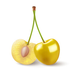 Isolated yellow cherries on one stem on white background. Two sweet cherry fruits on one stem, one cut in half with a pit - 750237473