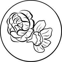 Jewish food. Hand drawn vector ink illustration.