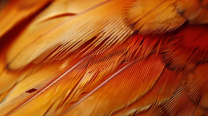 Schilderijen op glas Birds different color feather texture wallpaper background © Irina