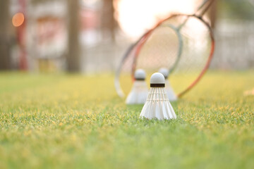 Badminton sport equipments, rackets and white cream shuttlecocks, on green grass lawn, blurred...