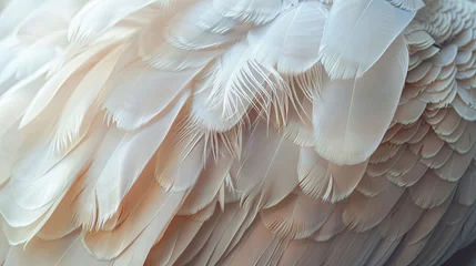 Gordijnen Birds different color feather texture wallpaper background © Irina
