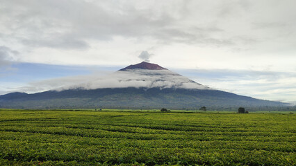 The second highest mountain in Indonesia is Mount Kerinci with a peak height of 3805 and has a...