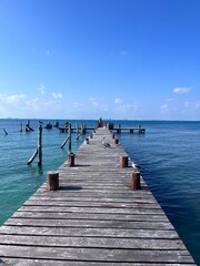 Obraz premium Pelican pier