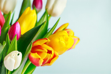 Colorful fresh tulips on light background. Happy easter.