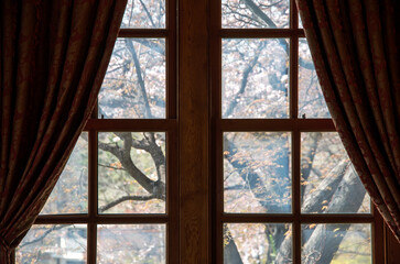 View of the old wooden window
