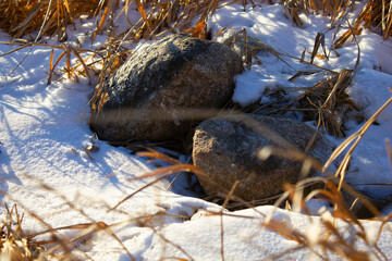 rocks in the snow