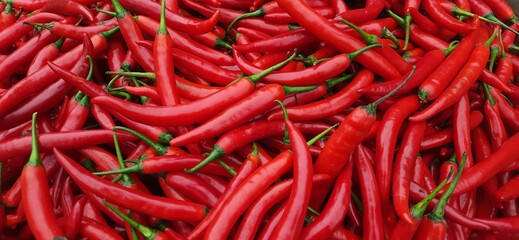 Pile of big Red Chili Peppers background ready sold in traditional market Indonesia. Vegetable chili ingredient for cooking