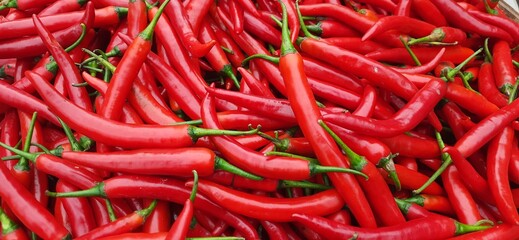 Pile of big Red Chili Peppers background ready sold in traditional market Indonesia. Vegetable chili ingredient for cooking