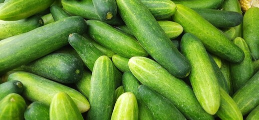Stack of harvest fresh cucumbers background. Ready for cuisine dish. Sold in traditional market in Indonesia