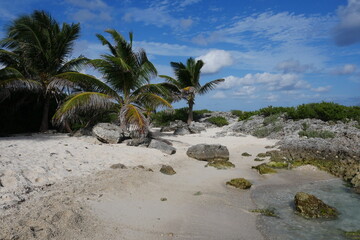 Karibikinsel Isla Mujeres in Mexiko mit Palmen und Strand