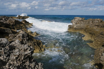 Fototapeta na wymiar Felsenküste auf Isla Mujeres Cancún Mexiko