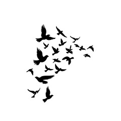 Flock Of Birds Logo Design