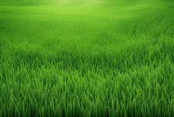 Zelfklevend Fotobehang Abstract large green botanical field, environmental protection, nature, green grass background concept. © OneWithNature