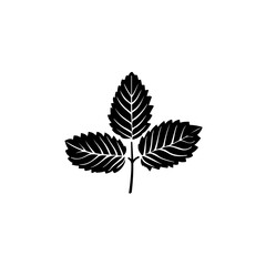 Mint Leaves Logo Design