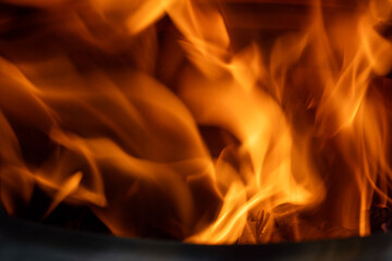 Fototapeta premium Orange Flame while burning wood 
