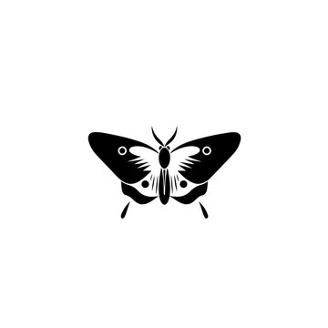 Moth Logo Design