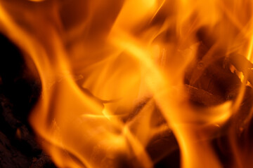 Orange Flame while burning wood 