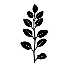 Oregano Leaf Logo Design