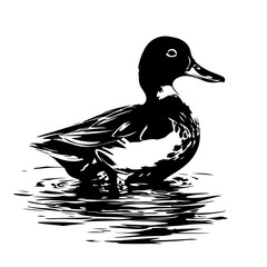 Wild Duck Logo Design