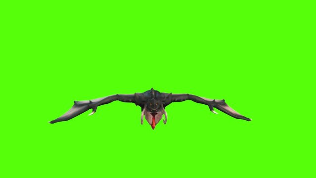 Monster Bat Flying Green Screen Animation 4k Rendering