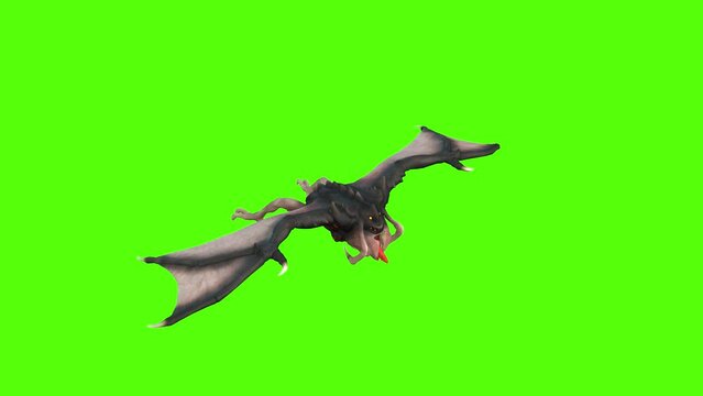 Monster Bat Gliding Green Screen Animation 4k Rendering