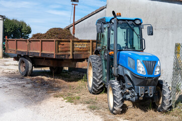 Obraz premium Harvest equipment and works in Saint-Emilion wine making region on right bank of Bordeaux, picking, sorting with hands and crushing Merlot or Cabernet Sauvignon red wine grapes, France