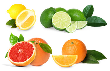 Different fresh citrus fruits isolated on white, set