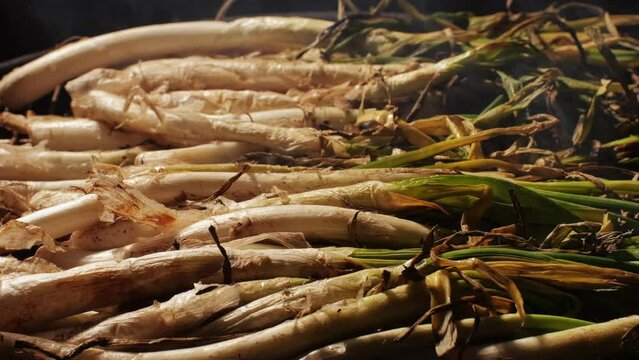 Traditional Spanish catalan green winter onion calcots, spring green season grill barbecue, vegan bbq with fire in Barcelona, Catalonia. Close up of grilling green onion.