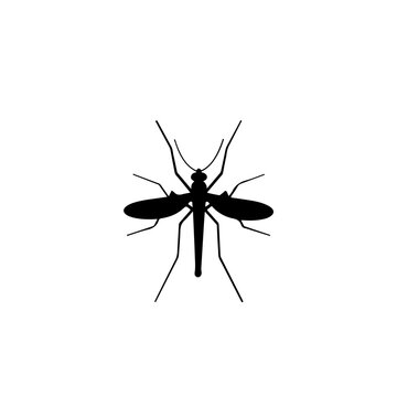 Mosquito Vector Logo