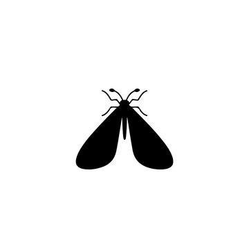 Moth Fly Vector Logo