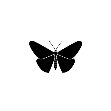 Moth Front Vector Logo