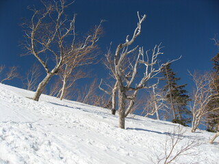 燕岳に向かう登山道からの景色
