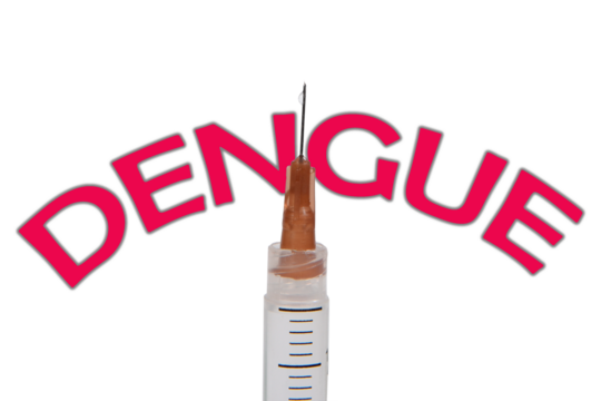 VACCINE SYRINGE PREVENTION DENGUE CHIKUNGUNYA ZIKA VIRUS AEDES AEGYPTI FIGHTS COVID DISEASE