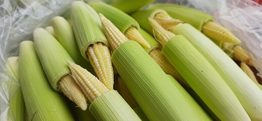 Stack of raw fresh baby corn. Ready to be sold and consumed