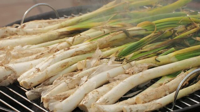 Traditional Spanish catalan green winter onion calcots, spring green season grill barbecue, vegan bbq with fire in Barcelona, Catalonia. Close up of grilling green onion.
