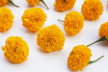 Beautiful golden yellow marigold flowers