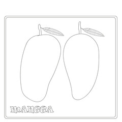 coloring mango fruit