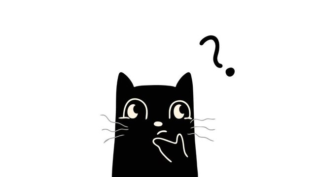 Confused Black Cat Video Animation