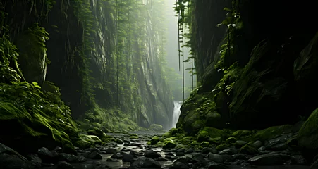 Foto op Canvas a forest with moss on the trees and rocks in a narrow cave © Lily